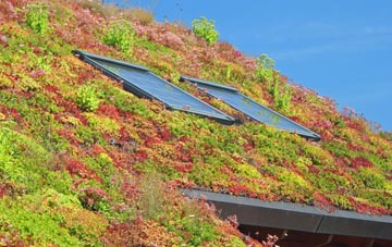 Balsall Heath living roof systems