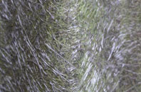 Balsall Heath fibreglass roof work